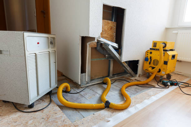 Environmental Consulting for Mold Prevention in Atoka, NM